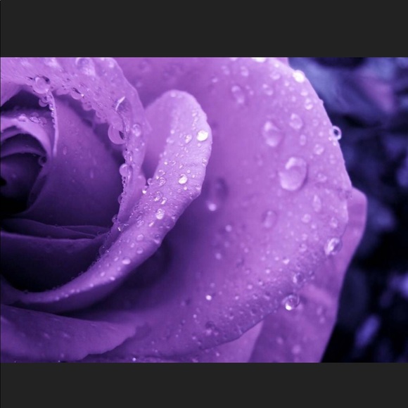 Meet your Posher - Picture 1 of 1